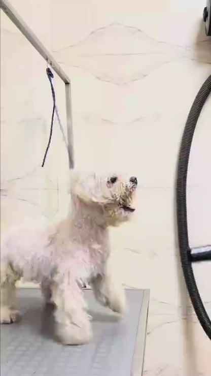 MÁQUINA CORTA PELO PARA MASCOTAS